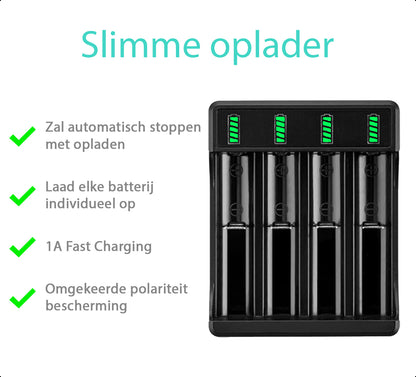 4-Slots Batterijoplader USB-C Met 4x 18650 Oplaadbare Batterijen - 2850mAh 10A 3.6V/3.7V - 10440/18650 - Li-ion