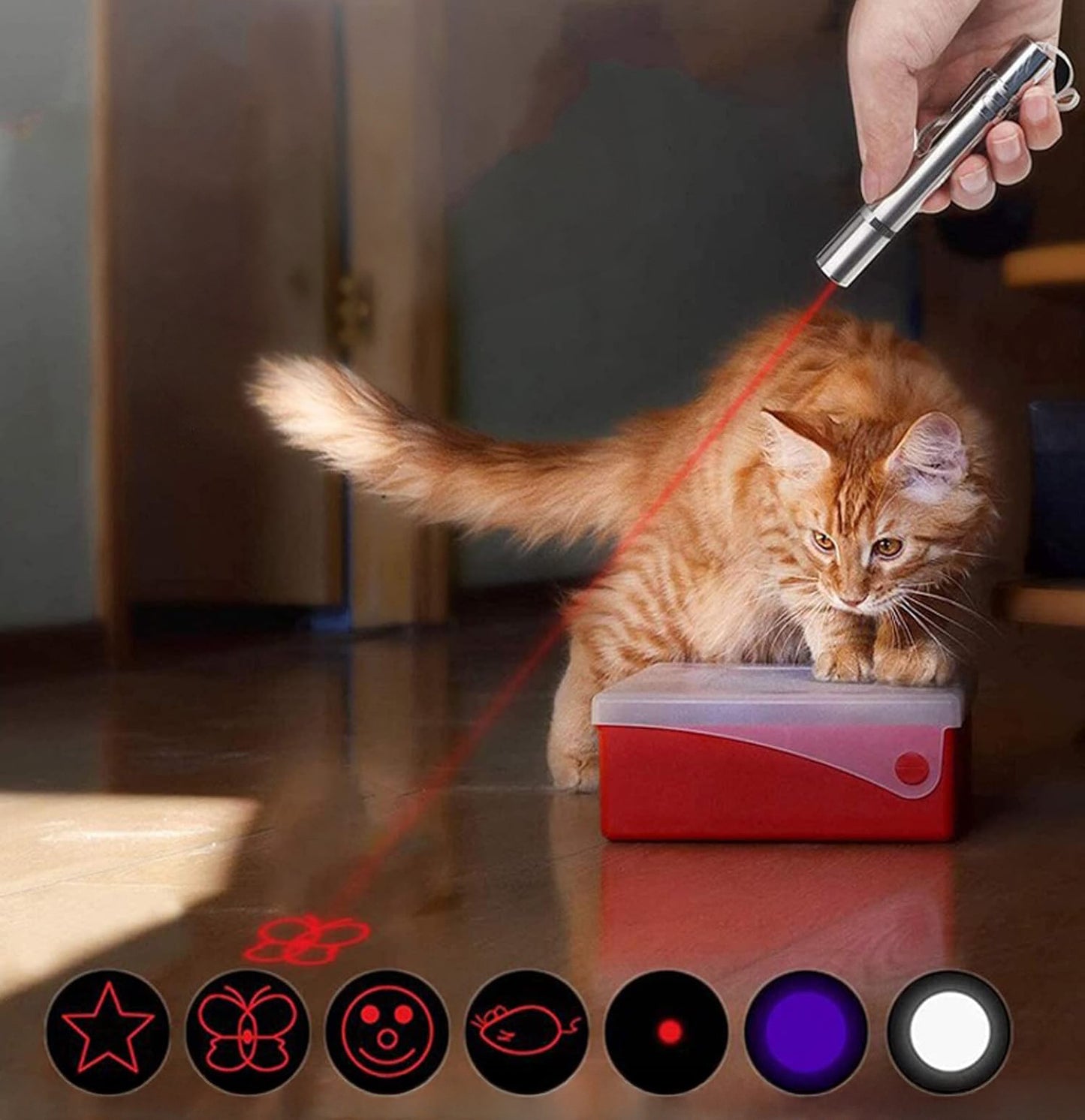 3 en 1 - Stylo laser - Acier inoxydable - Chats et chiens - Jouets - USB rechargeable | Rouge - Jouet - Lumière - Électrique - Automatique - Pointeur